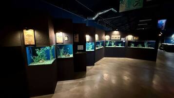 An aquarium exhibit with multiple tanks, informational plaques, and a concrete floor.
