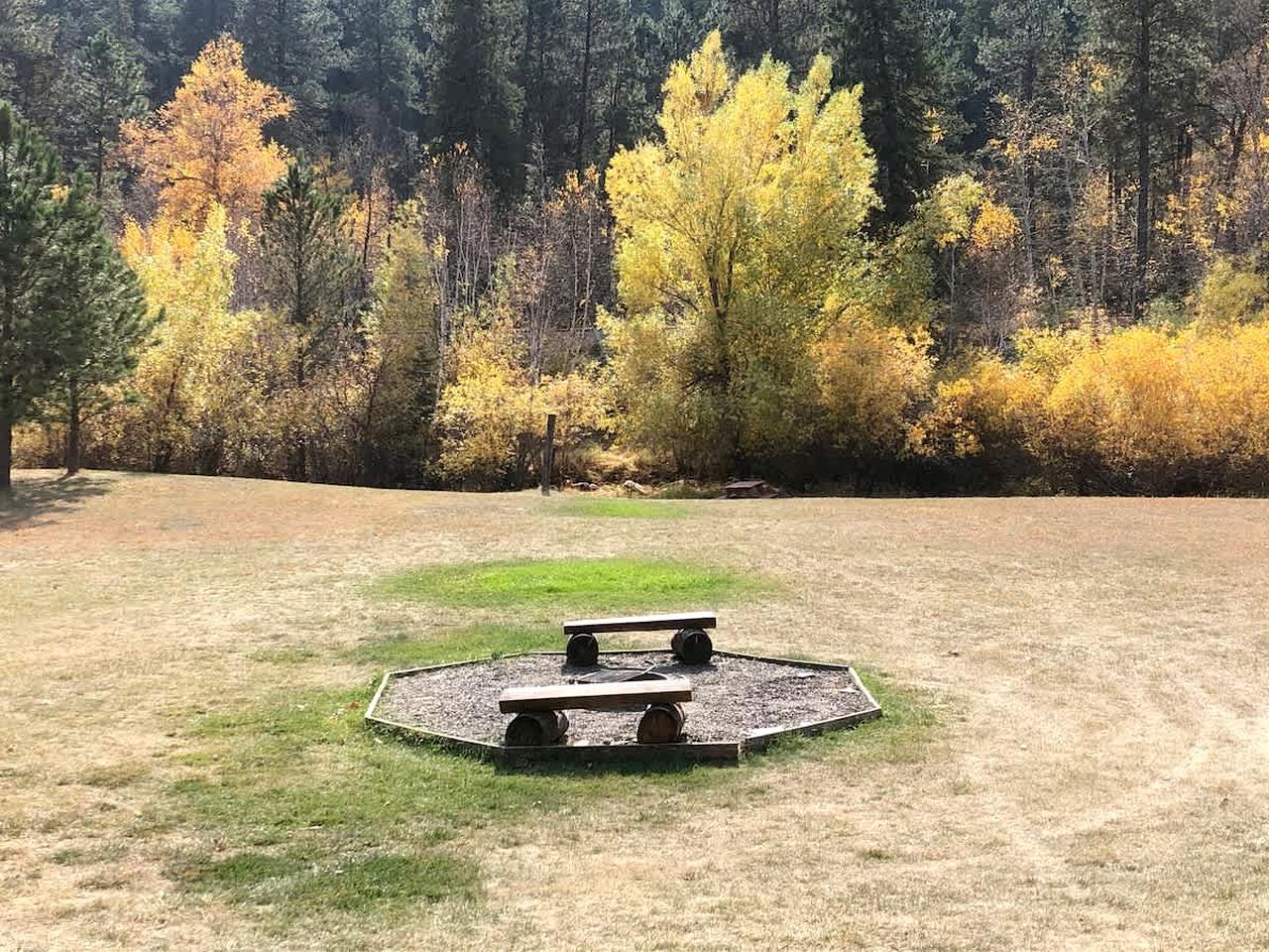 Un área de picnic con dos bancos y un espacio circular de grava rodeado de césped, frente a un fondo de árboles con follaje otoñal.