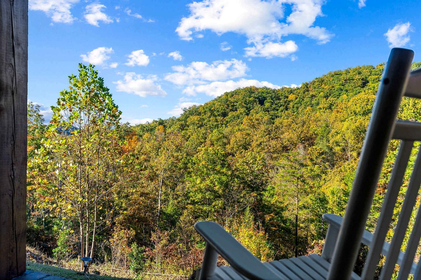 Une terrasse en bois offrant une vue sur une colline boisée.