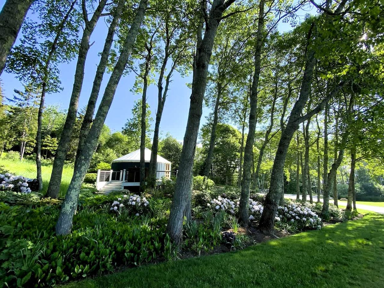 A house surrounded by tall trees and lush greenery.