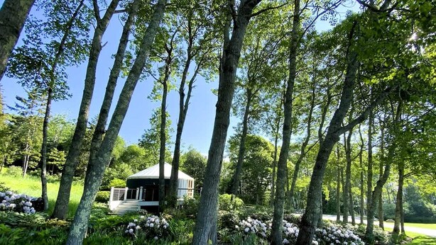 A house surrounded by tall trees and lush greenery. - Romantic Luxury Yurt with Private Beach & Steam Shower near Friendship, Maine (Friendship)