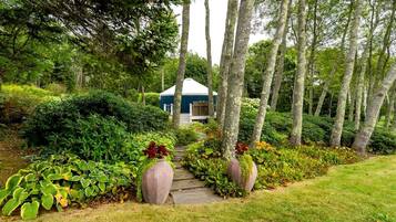 A pathway leading to a building surrounded by lush greenery and trees.