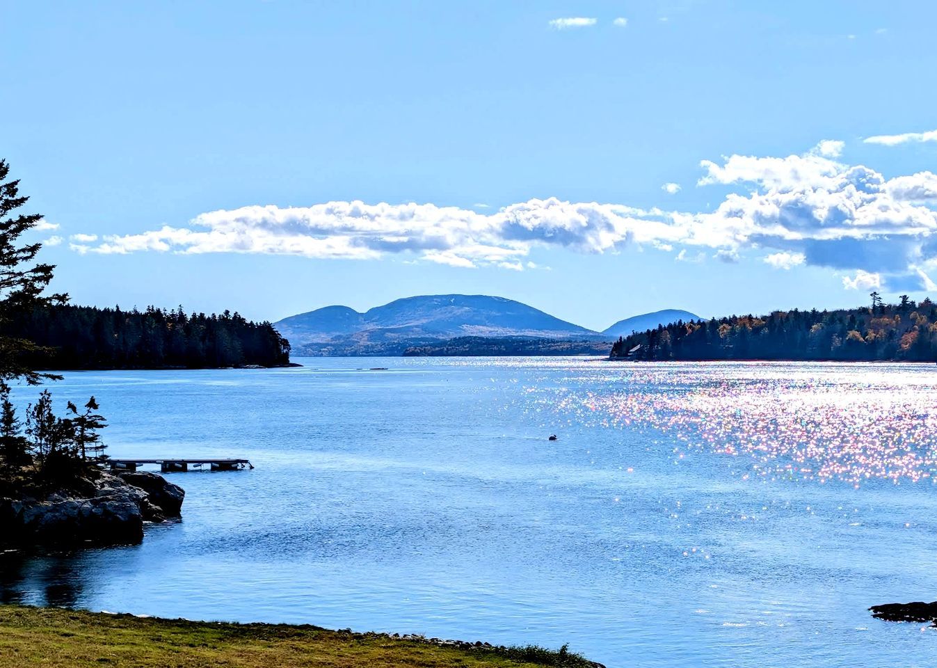 A calm lake with mountains in the background, surrounded by trees.