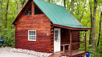 A wooden cabin with a green roof, a door, and a small porch.