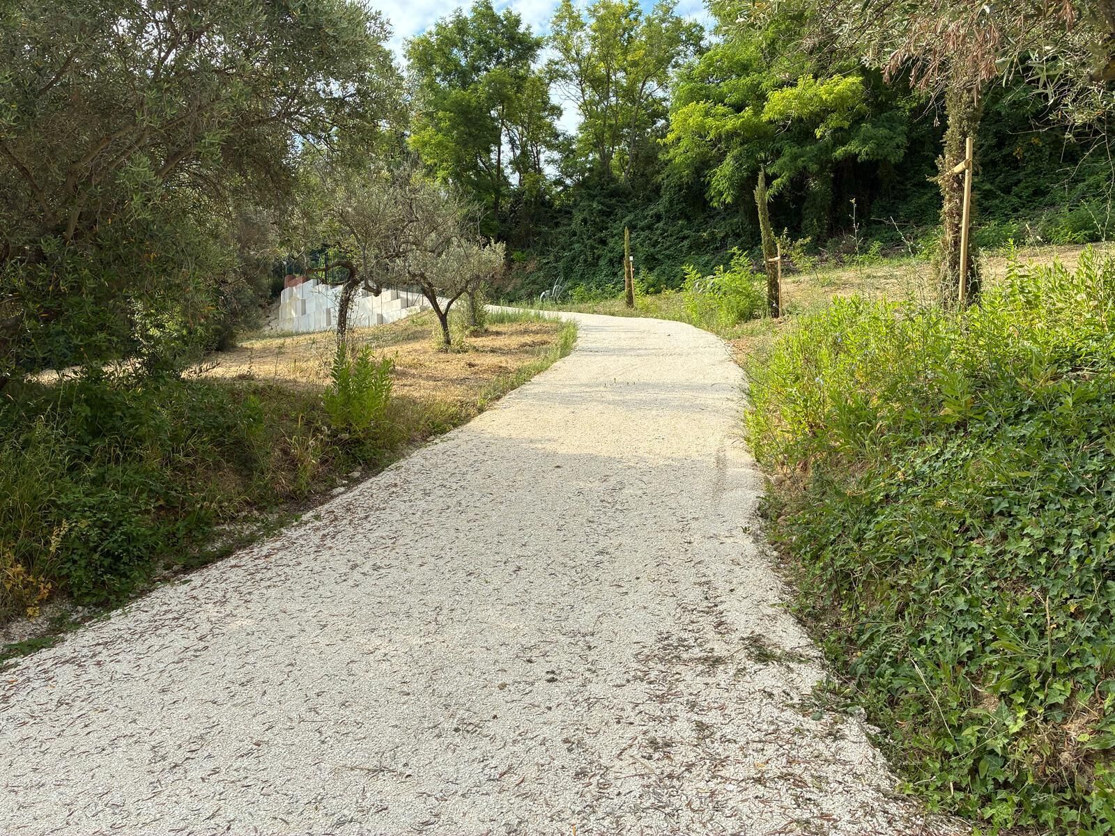 A gravel path in a park with trees and greenery on both sides.