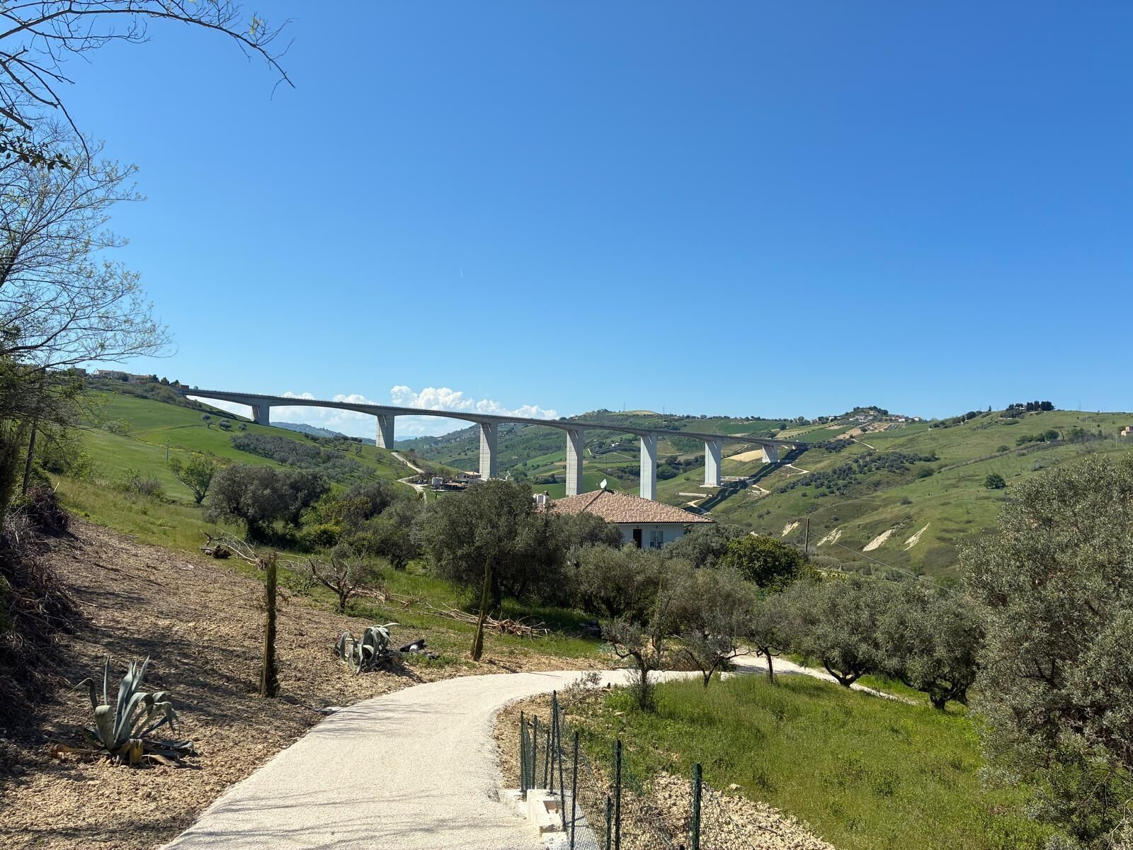 Un paysage rural avec un pont, un chemin de terre et des oliviers.