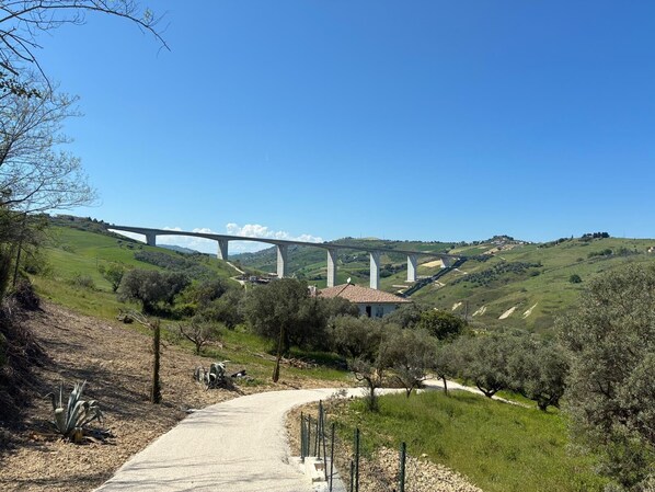 A rural landscape with a bridge, a dirt path, and olive trees.