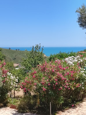 Property grounds - Casa Bianca (Silvi)