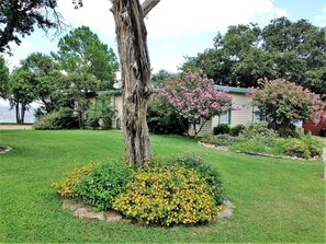 A residential area with a lawn, a tree, and flowering bushes. - Escape to a Scenic Lakeview Cabin Near Waterfalls, Vineyards & Starry Nights in Buchanan Dam, Texas (Buchanan Dam)