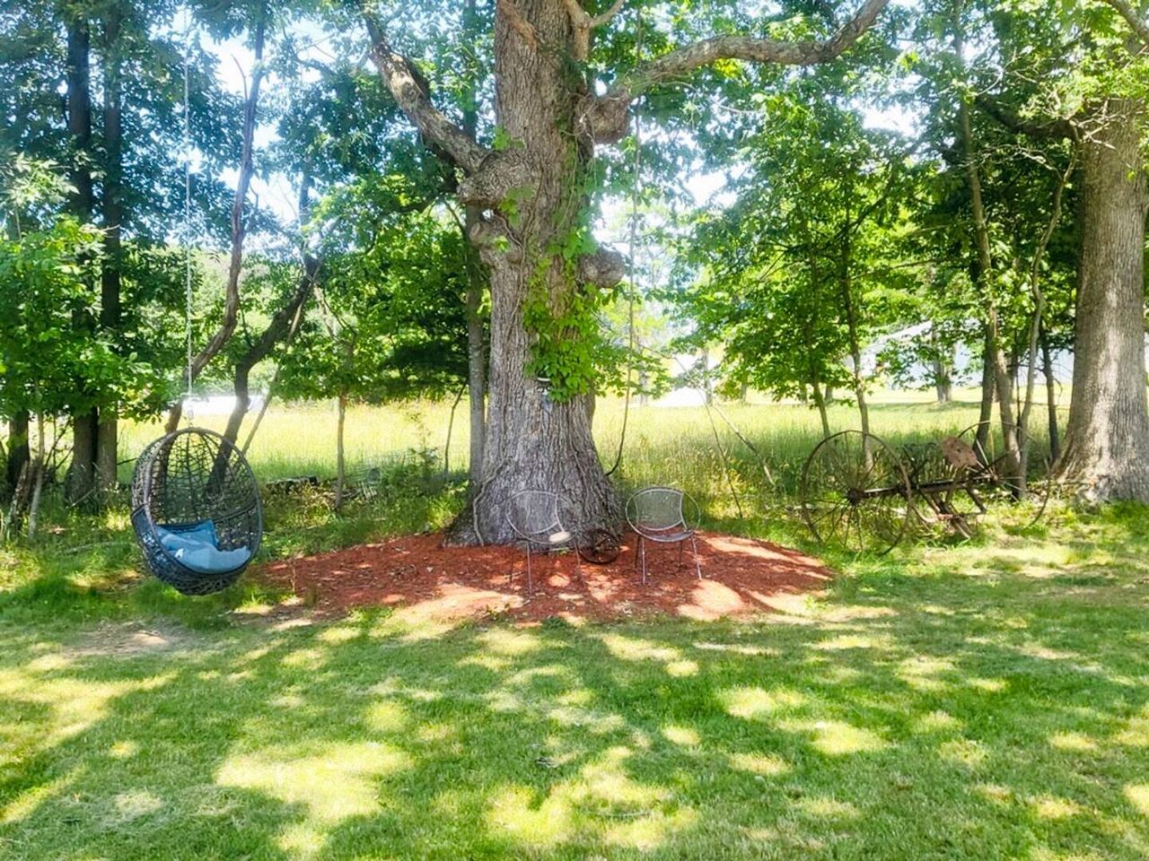 Un arbre avec une balançoire et deux chaises, le tout situé dans un espace herbeux.