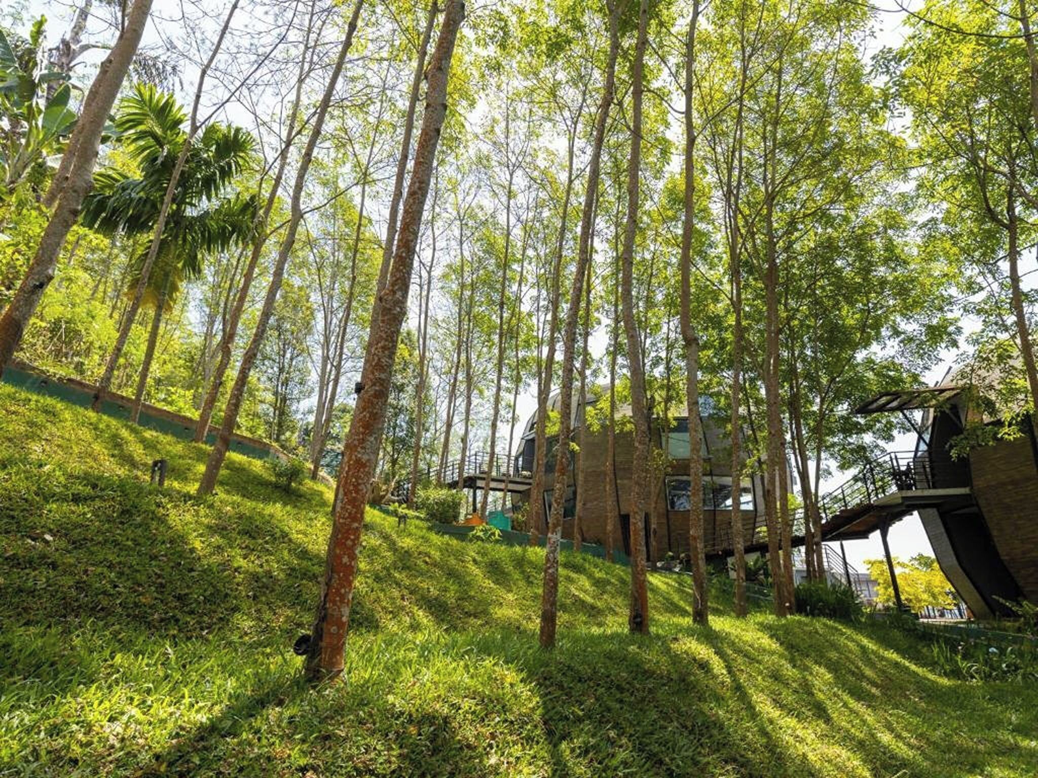 Un bâtiment moderne à la façade de verre, entouré d’une forêt verdoyante et luxuriante.