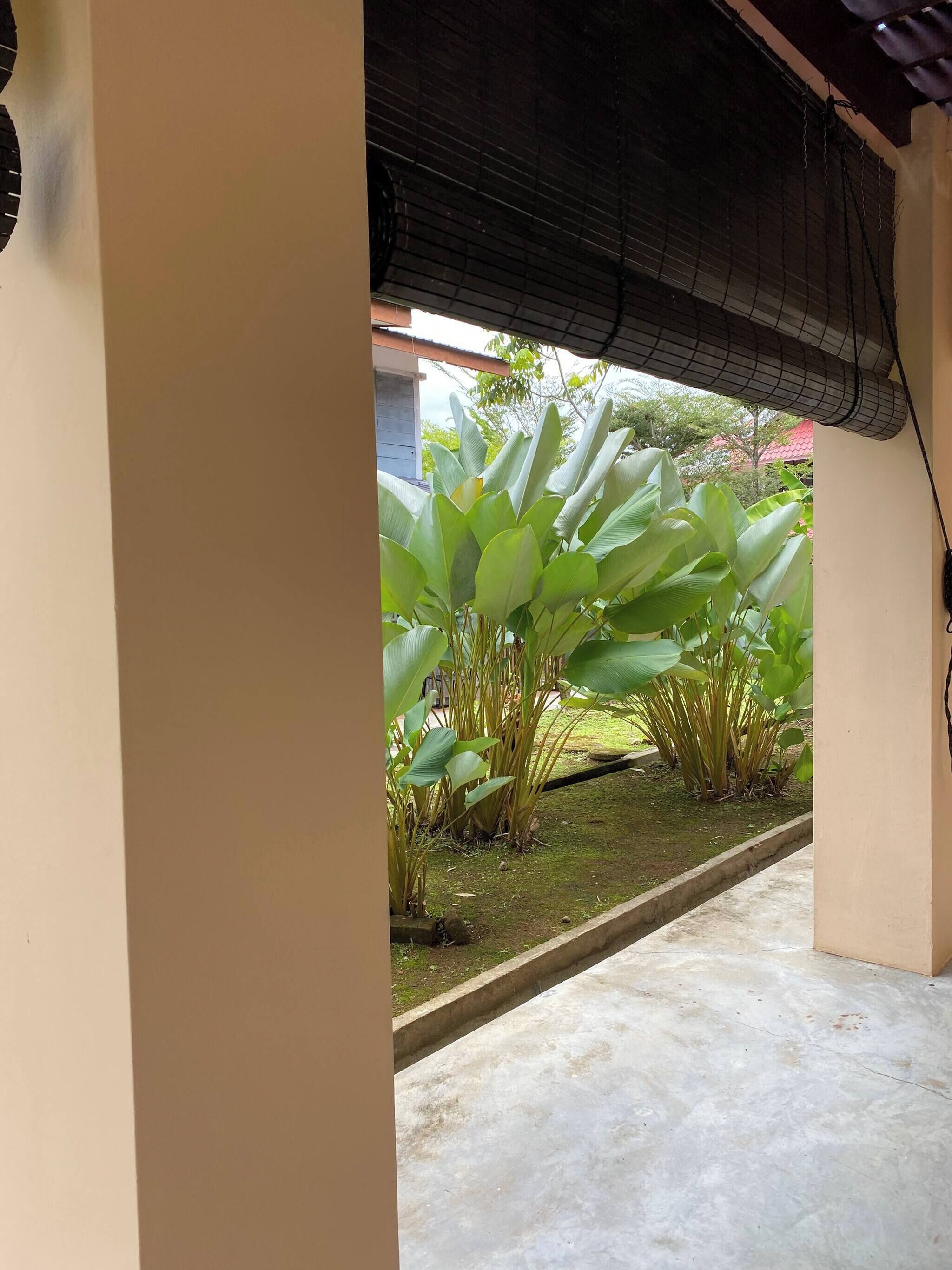 Bungalow, 4 Bedrooms | Property grounds