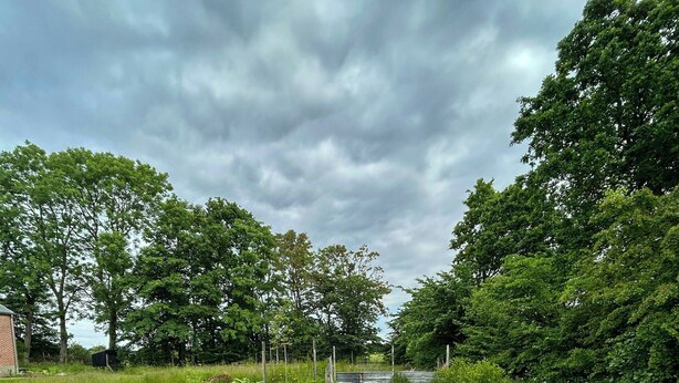 A garden with raised beds, a wooden fence, and a cloudy sky. - Unplug in rustic barn idyll near Jels (Sommersted)