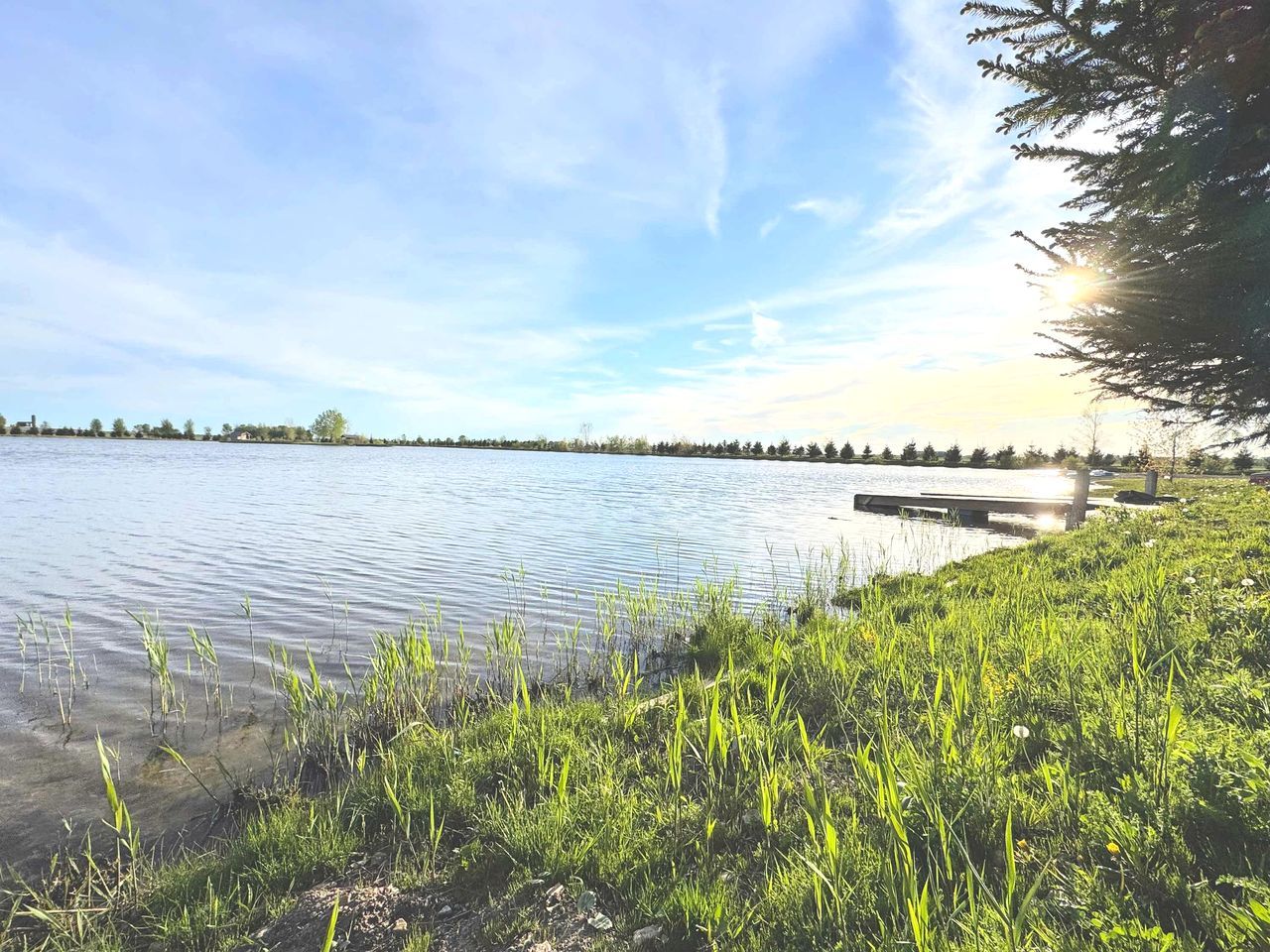 A calm lake with a dock, surrounded by grassy banks and trees.