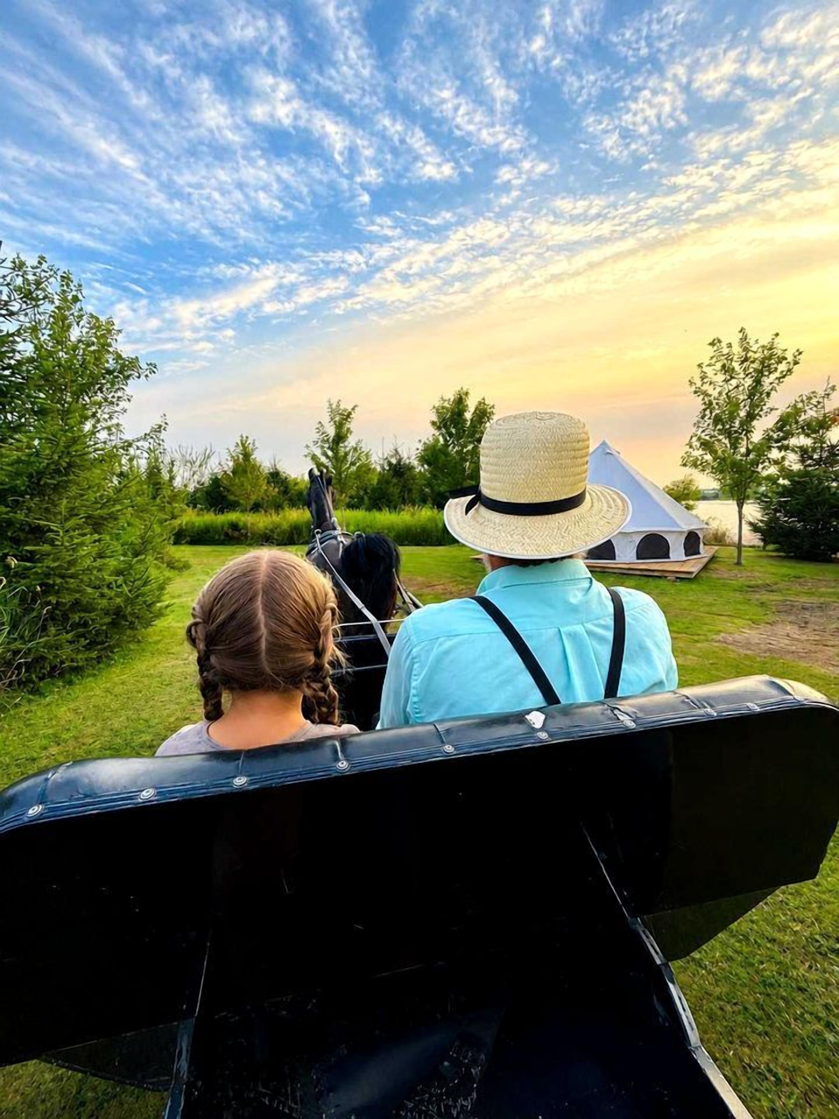 A couple seated in a vehicle with a horse, facing a scenic landscape with trees and a body of water.