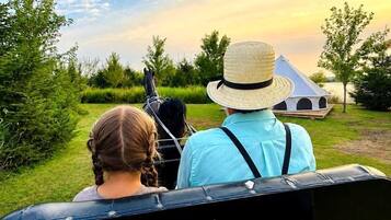 A couple seated in a vehicle with a horse, facing a scenic landscape with trees and a body of water.