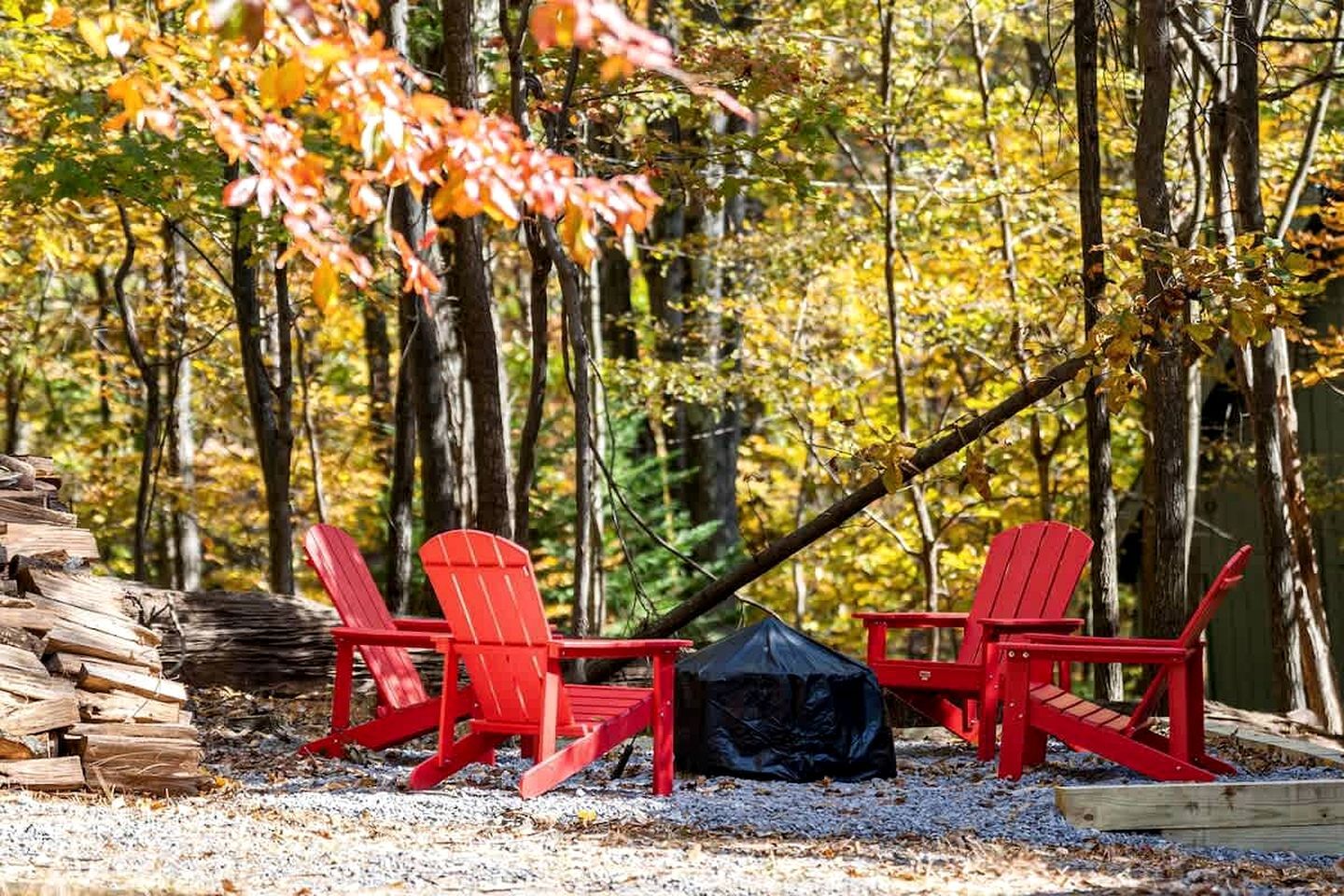 Deux chaises Adirondack rouges, un sac poubelle noir et une pile de bûches, le tout dans un décor forestier.