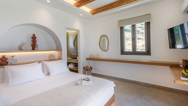 Une chambre à coucher avec un lit, une télévision, une fenêtre et un miroir.