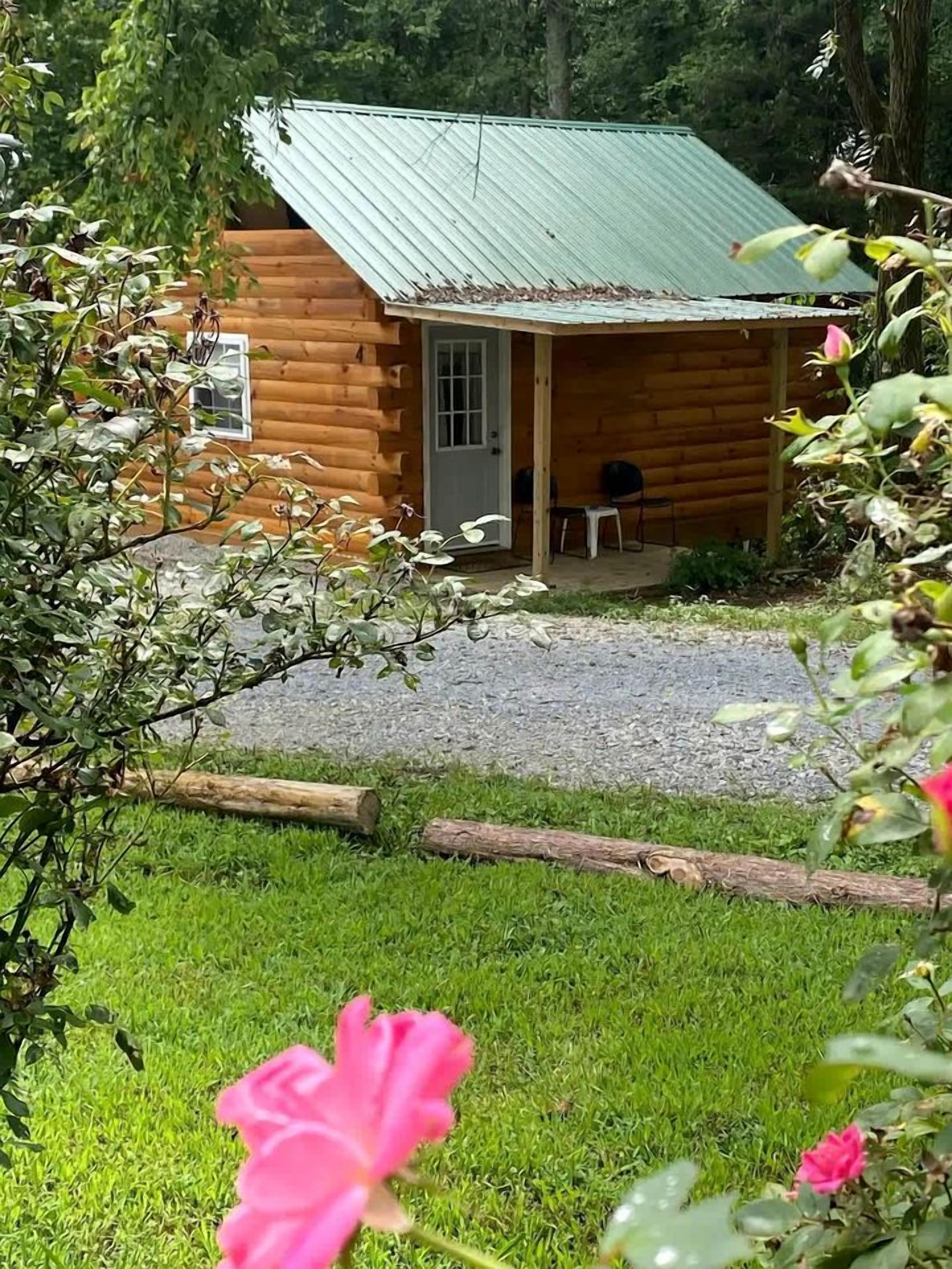 En stuga byggd av trä med ett tak av metall, en grusuppfart och en gräsyta med en rosa blomma i förgrunden.