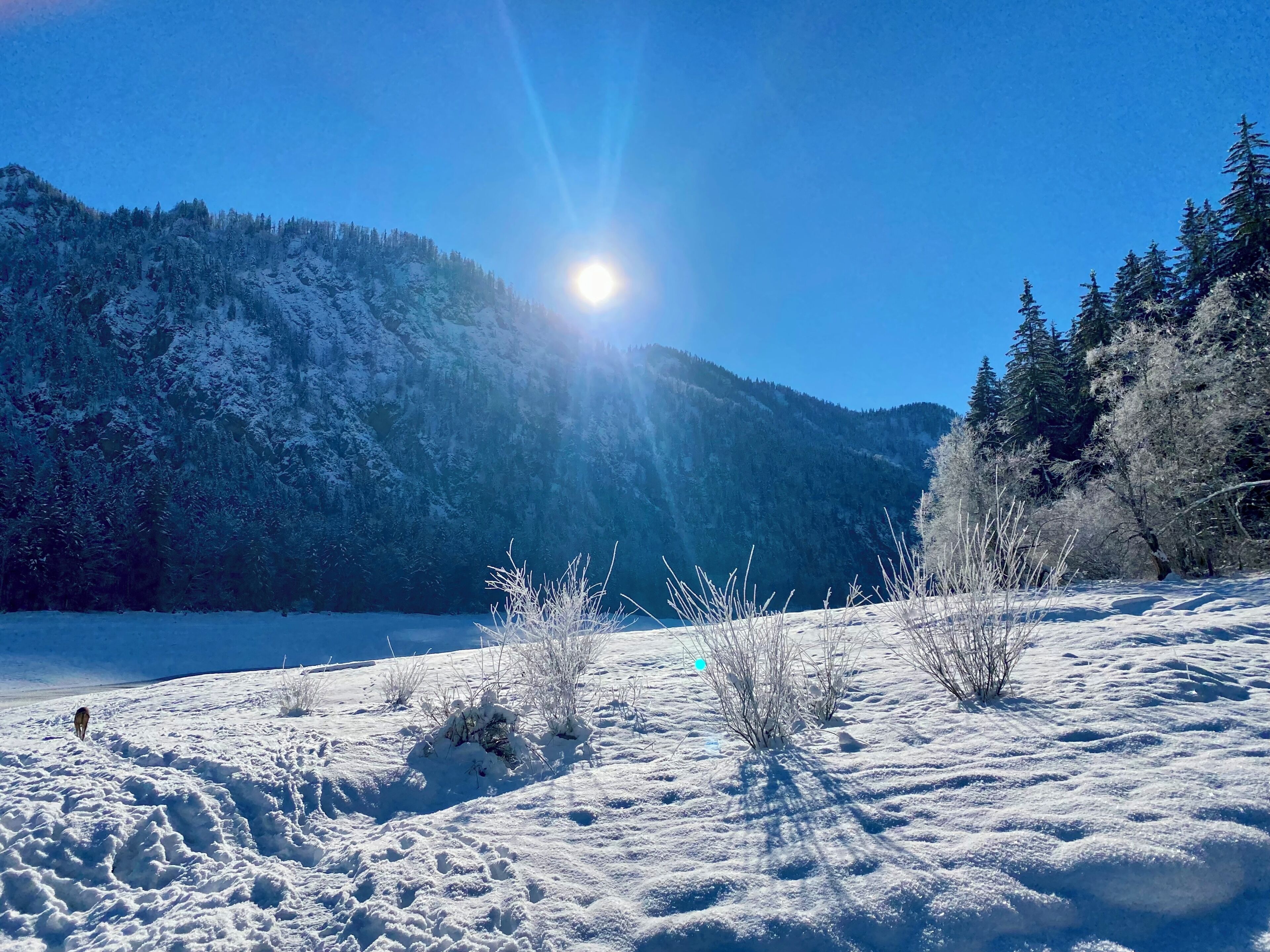 A snowy landscape with a clear sky and a mountain in the background.
