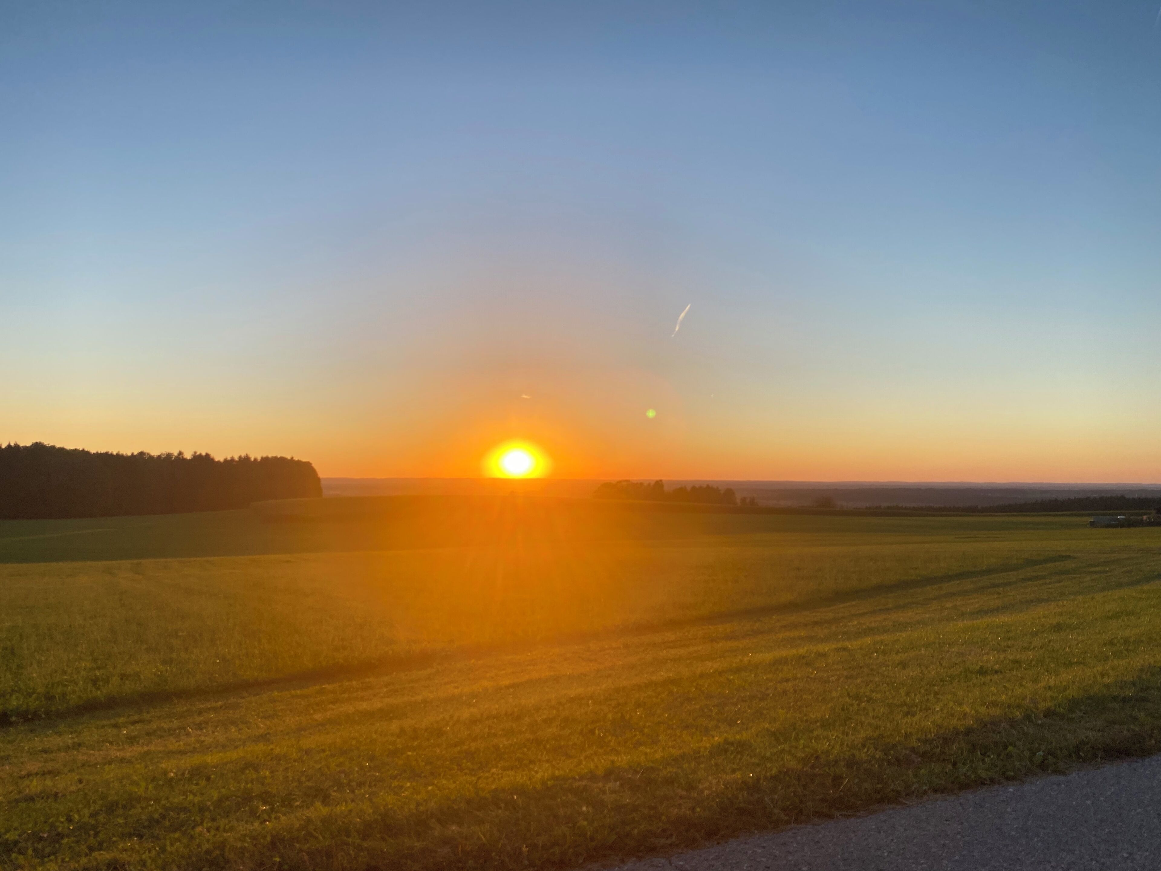 A sunset over a grassy field with a clear sky.