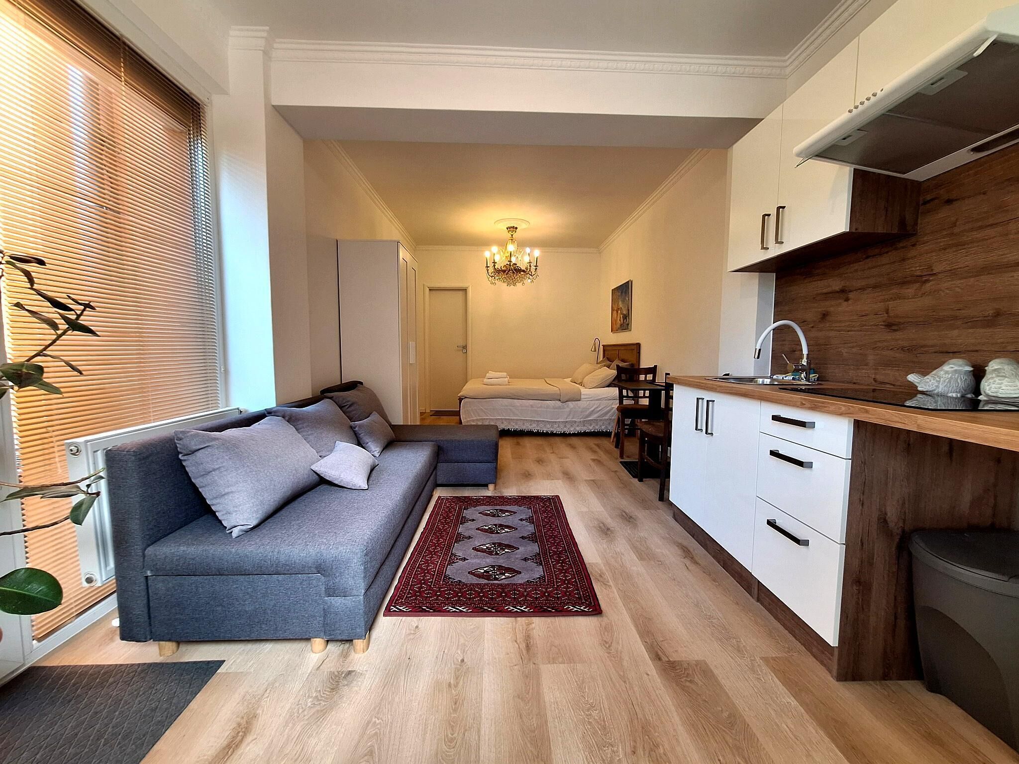 Standard Studio, 1 King Bed, Non Smoking, Kitchen | Living area