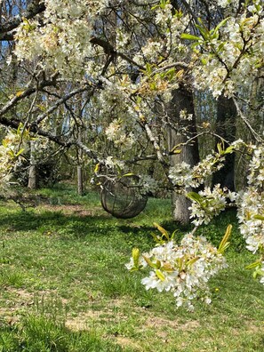 Property grounds - Domaine de la Soudelle (Notre-Dame-d'Oé)