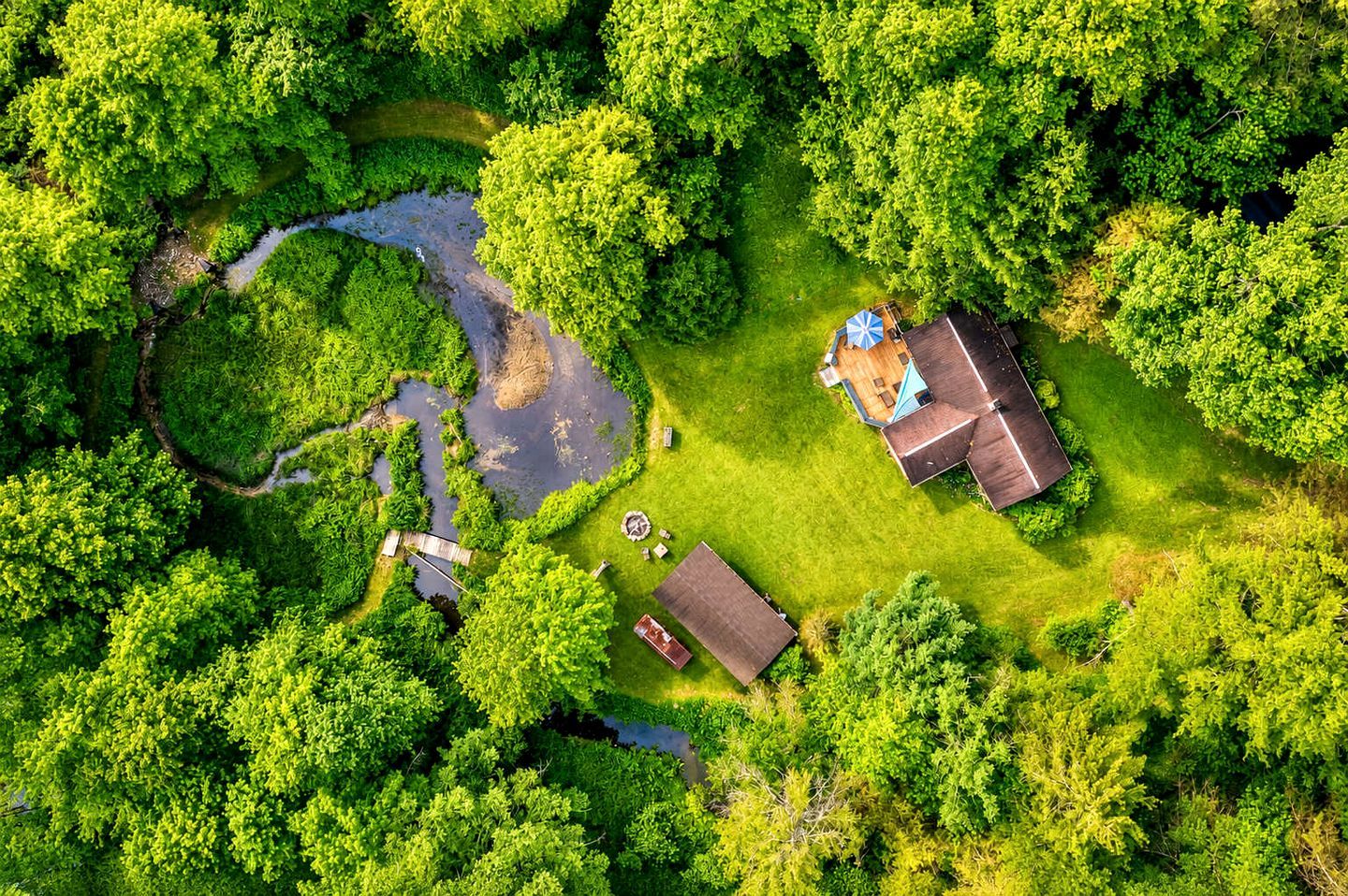 Aerial view