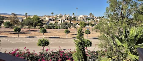 A residential area with a parking lot, houses, and trees.