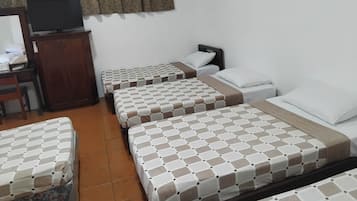 Family Room | Desk, laptop workspace, soundproofing, WiFi (free)