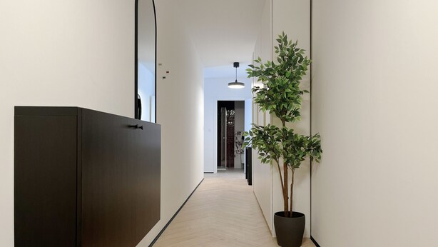 Een gang met een donker kastje, een potplant en een hanglamp.