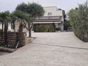 A modern house with a paved driveway, stone wall, and various plants.