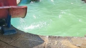 A swimming pool with a brick border and a grassy area in the background. - Room-yoxall Overnight Stays (Durban)