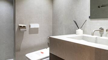 Shower, hair dryer, bidet, towels