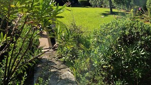 Ein üppiger Garten mit verschiedenen Bäumen und Sträuchern, einem klaren, blauen Himmel und einem steinernen Weg.