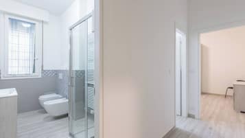Shower, hair dryer, bidet, towels