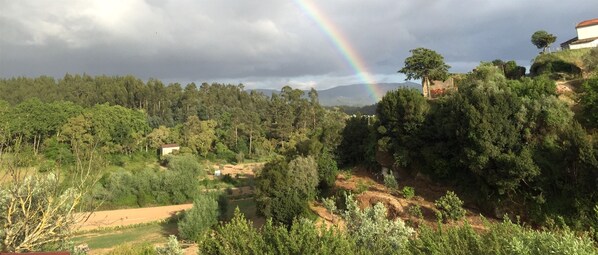 A lush landscape with a rainbow, dense forest, and a building on a hill.
