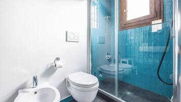 Shower, hair dryer, bidet, towels