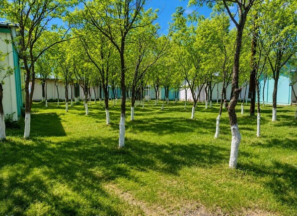 Property grounds - Sevan Shoghakat family cottage (Shoghakat)