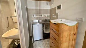 Un baño pequeño con lavamanos, ducha y una kitchenette.