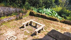 A stone bench in a natural setting with a stone wall and vegetation. - AKS Cottage (Salem)