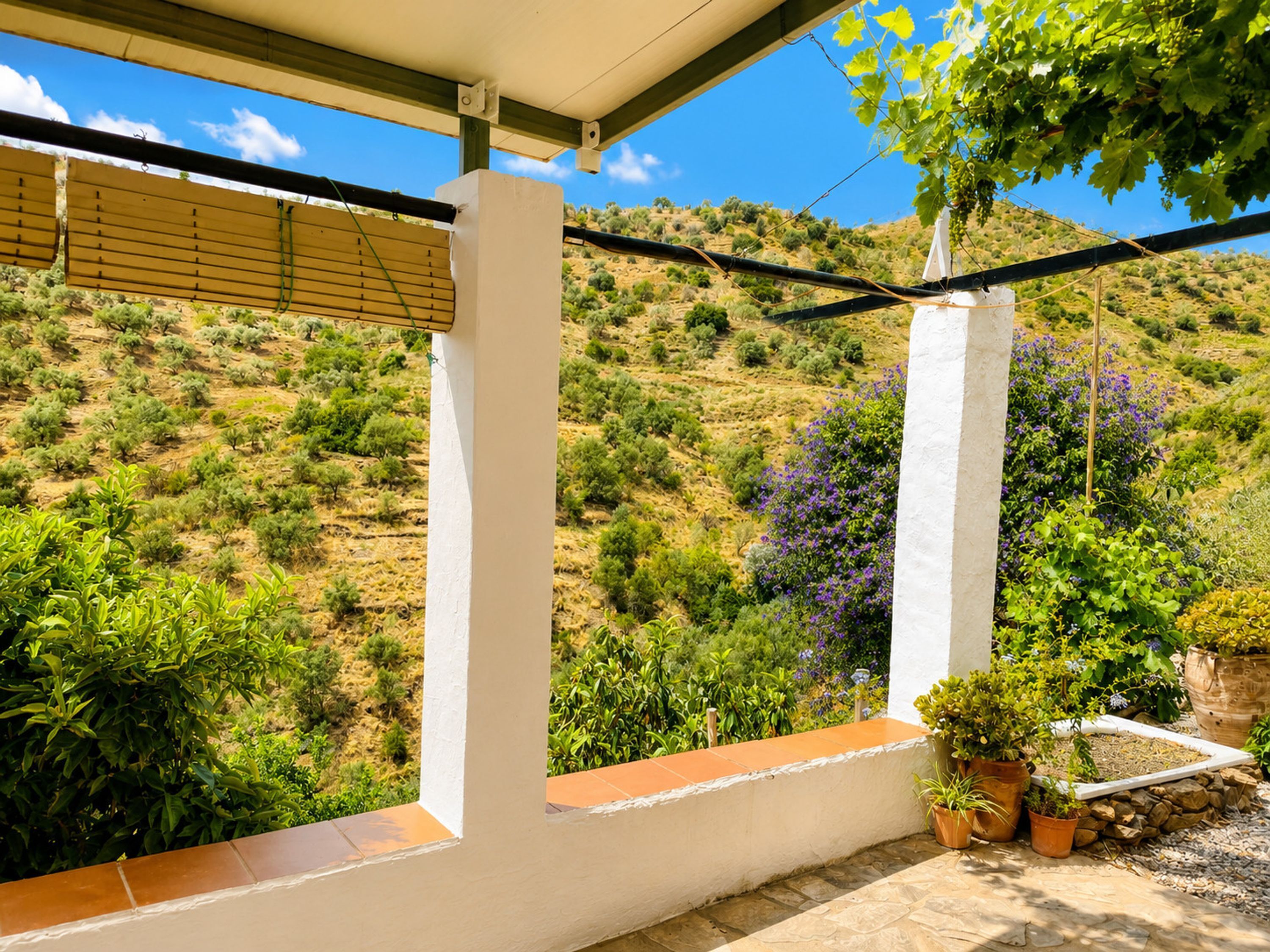 A balcony with a view of a hilly landscape, white pillars, and potted plants.