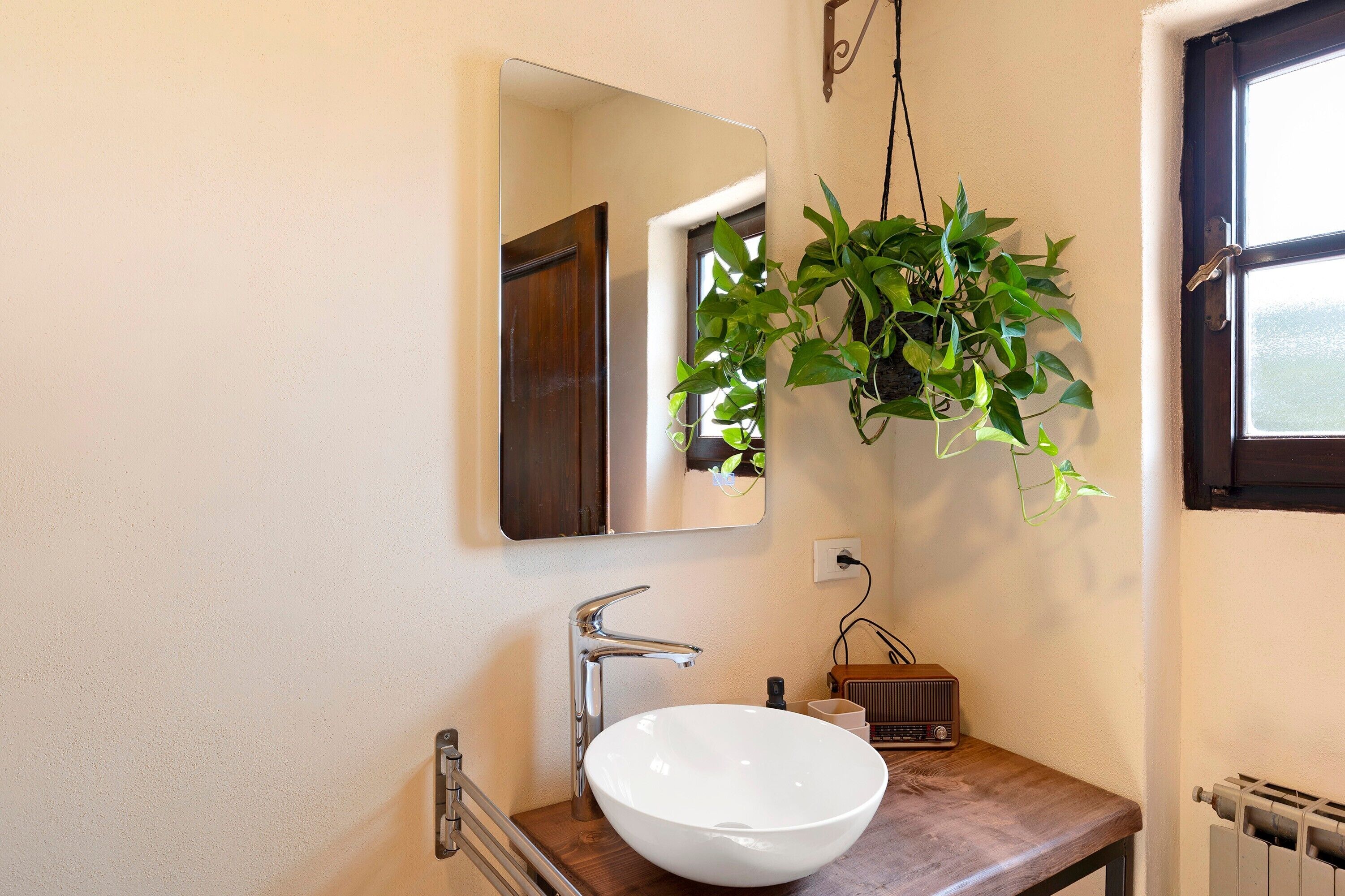 A bathroom with a white sink, a mirror, and a hanging plant.
