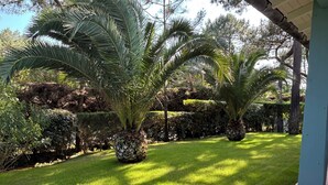 A well-maintained garden with manicured grass and palm trees. - Charming Villa in Cap-Ferret (Lège-Cap-Ferret)