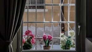 Interior - Pink Gondola (Venezia)
