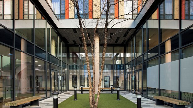 Un edificio moderno con paredes de vidrio, un árbol artificial en el centro y un suelo a cuadros.