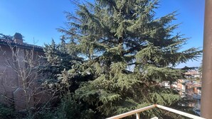 Uma varanda com guarda-corpo de metal, com vista para uma árvore densa de vegetação e um edifício de tijolos.