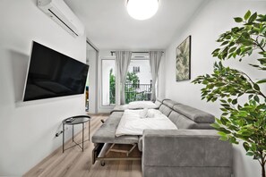 Fernseher, Arbeitsbereiche