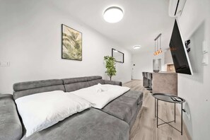 Fernseher, Arbeitsbereiche