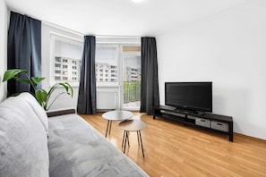 Fernseher, Arbeitsbereiche